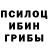 ГЕРОИН хмурый Hachemiprox