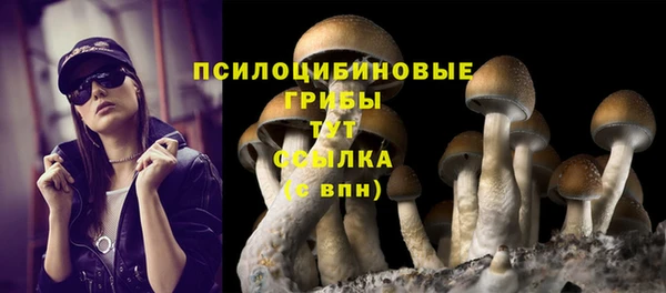 первитин Осинники