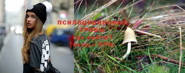 первитин Осинники